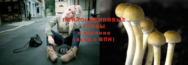 тгк Переславль-Залесский