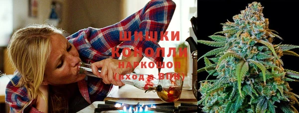 винт Пересвет