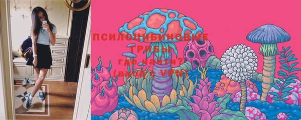 прущие крисы Белоозёрский