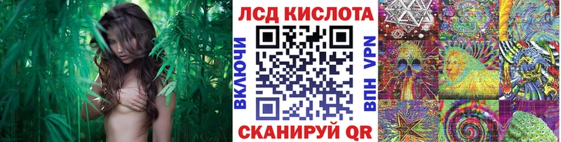 хочу наркоту  Назарово  ОМГ ОМГ как зайти  Марки N-bome 1,5мг 