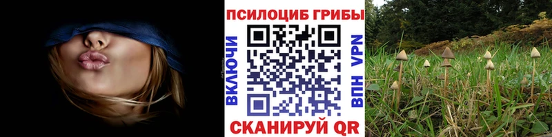 Галлюциногенные грибы Magic Shrooms Назарово